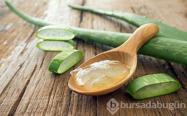 Mucizevi bitki aleoveranın etkileri