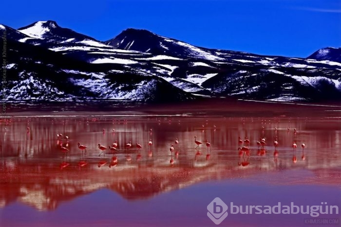 Photoshop kullanmadan zeka ve sabırla çekilmiş harika fotoğraflar