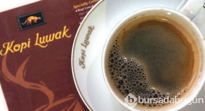 Dünyanın en pahalı kahvesinin ardındaki rahatsız edici gerçek