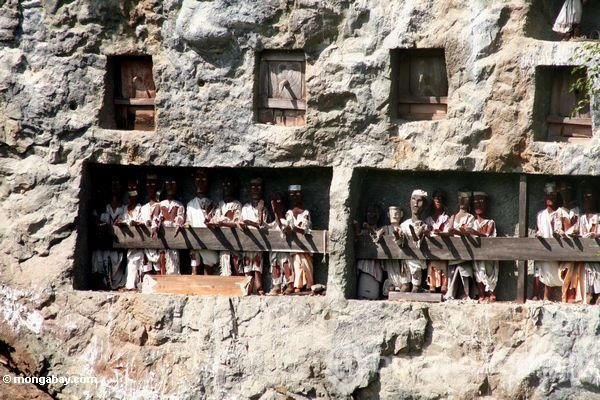 Ölüm burada elveda demek değil