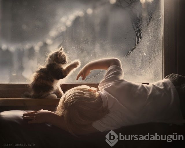 Kediler ve çocuklar