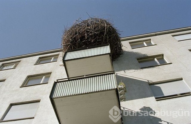 En ilginç balkon modelleri