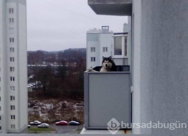 En ilginç balkon modelleri