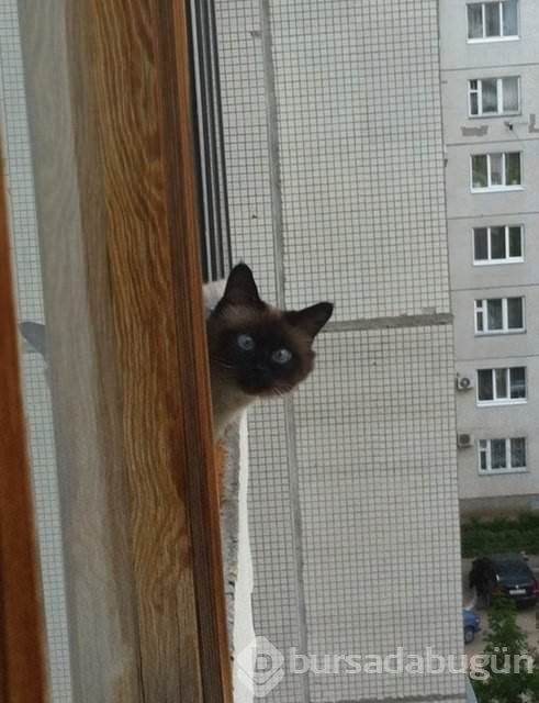 En ilginç balkon modelleri