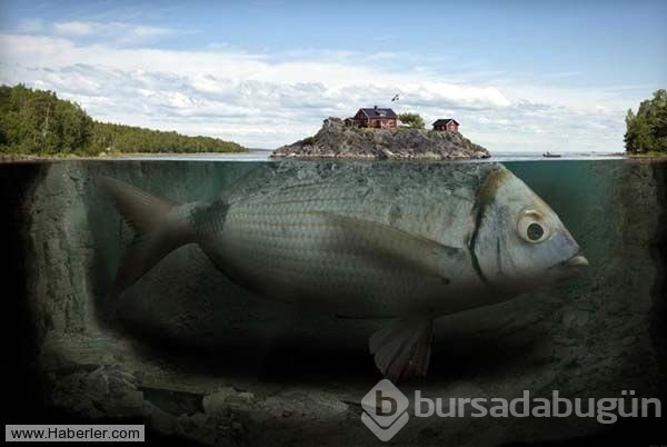 Bu fotoğraflar hayal gücünüzü zorlayacak
