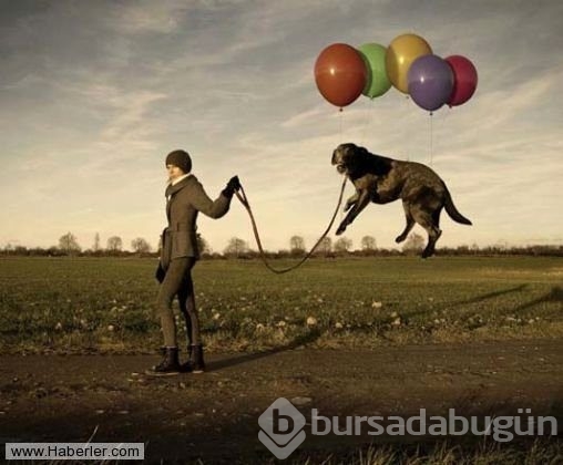 Bu fotoğraflar hayal gücünüzü zorlayacak