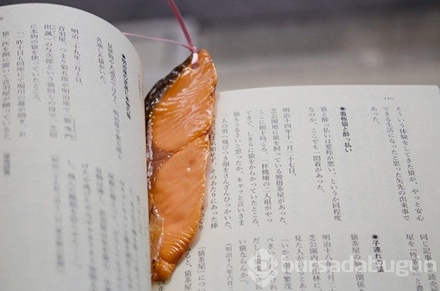 Göreni hayrete düşüren gerçeklikte Japon işi 8 kitap ayracı