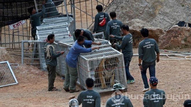 Derin dondurucudaki manzara dehşete düşürdü