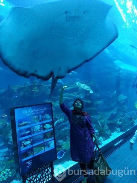 Görgüsüzlüğün bu kadarı! Bunlar sadece Dubai'de