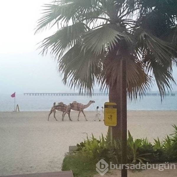 Görgüsüzlüğün bu kadarı! Bunlar sadece Dubai'de