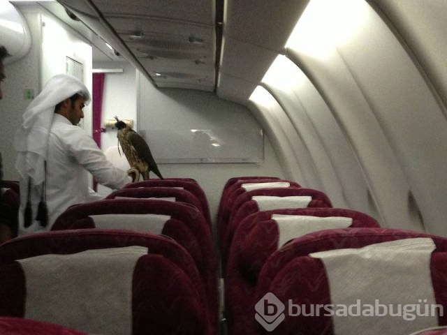 Görgüsüzlüğün bu kadarı! Bunlar sadece Dubai'de