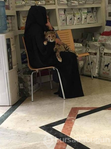 Görgüsüzlüğün bu kadarı! Bunlar sadece Dubai'de