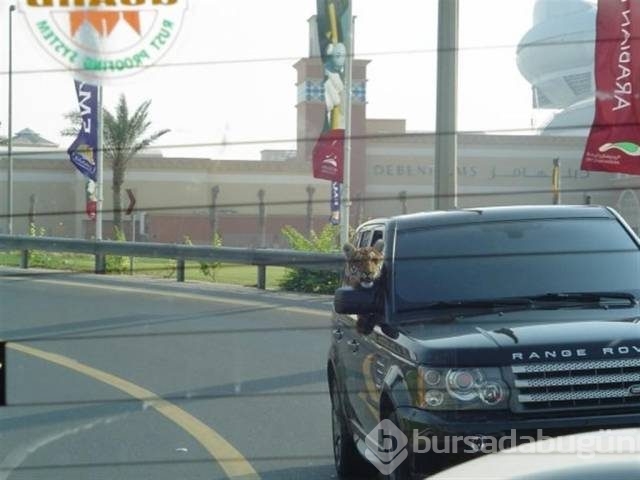 Görgüsüzlüğün bu kadarı! Bunlar sadece Dubai'de