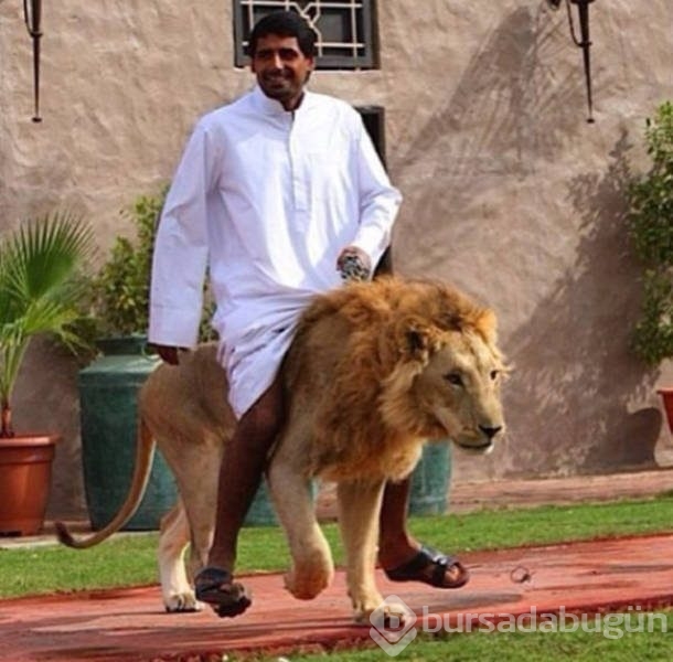 Görgüsüzlüğün bu kadarı! Bunlar sadece Dubai'de