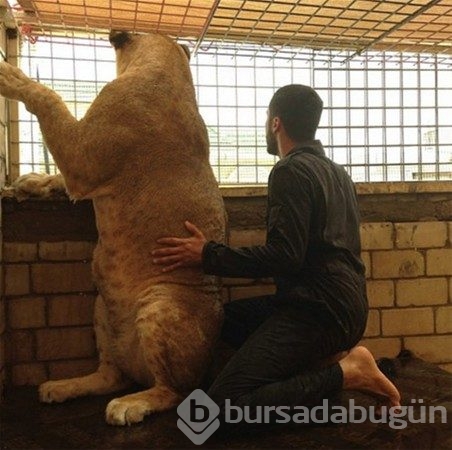 Görgüsüzlüğün bu kadarı! Bunlar sadece Dubai'de