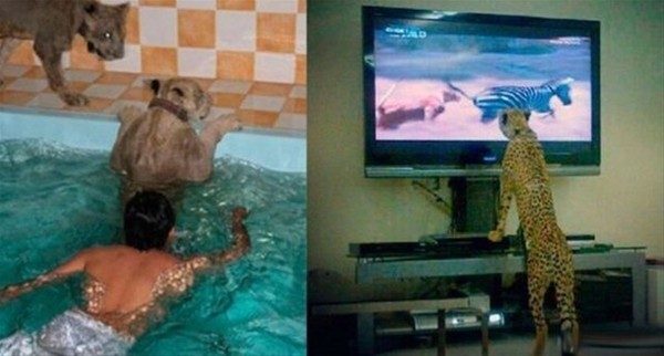 Görgüsüzlüğün bu kadarı! Bunlar sadece Dubai'de