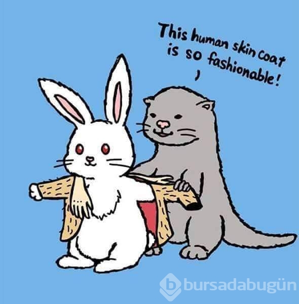 Bir de tersinden bakın hayata...