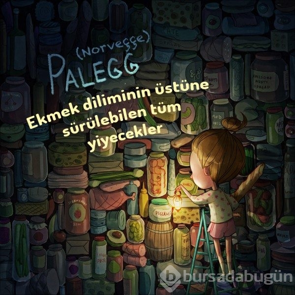 Başka dilde karşılığı olmayan yabancı sözcüklerin illüstrasyonlarla anlatımı