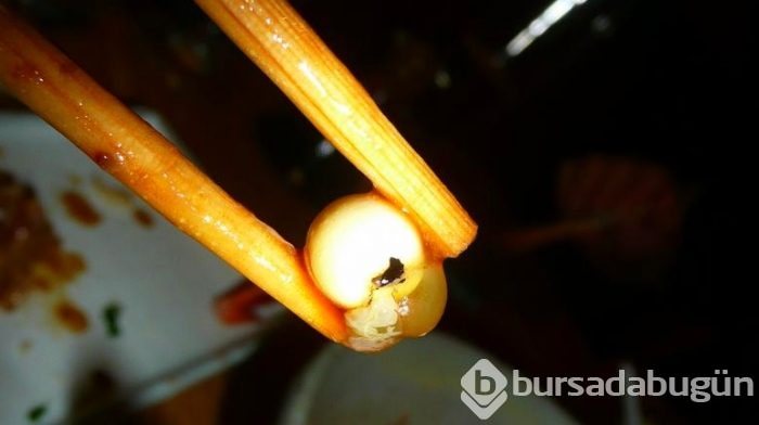 Dünya mutfağından midenizin kaldıramayacağı 7 sıradışı yemek