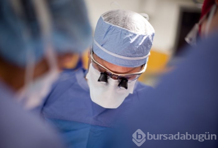 Domuz vücudunda insan organı yetiştirilecek