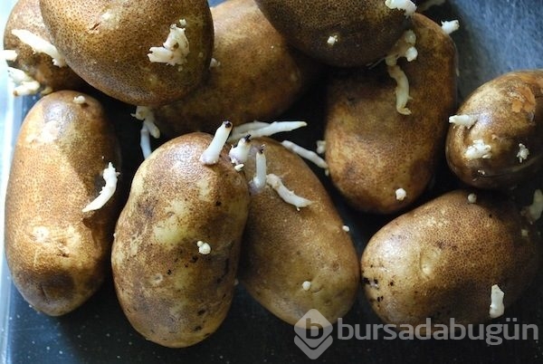 Dikkat!
Kabuğunu sakın çöpe atmayın!