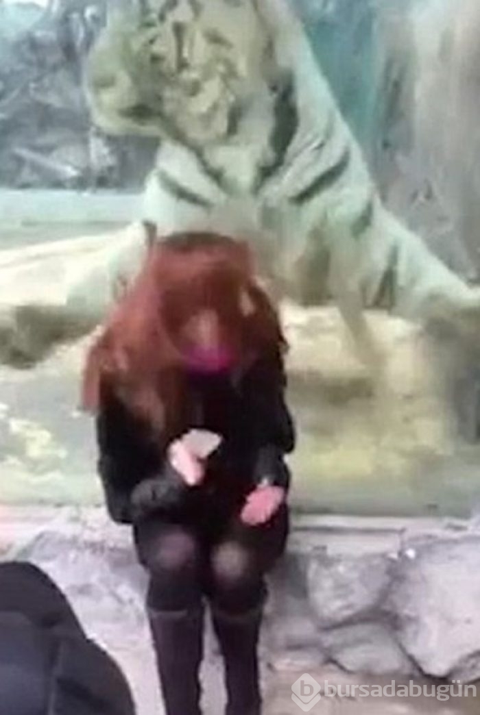 Dev kaplan poz veren kadına yaklaştı ve...