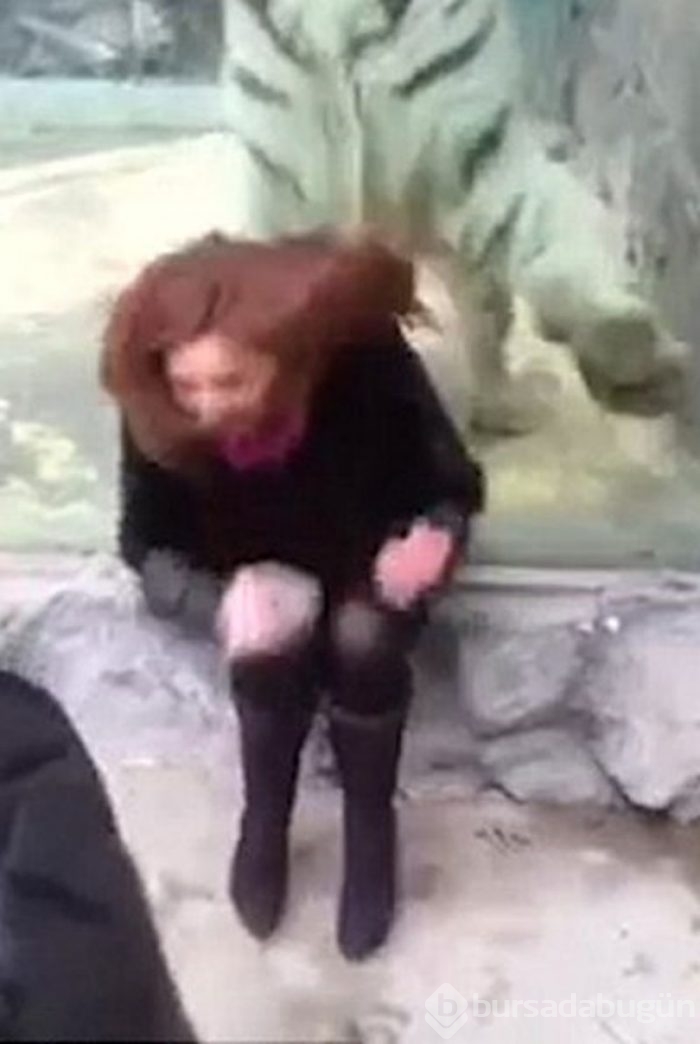 Dev kaplan poz veren kadına yaklaştı ve...