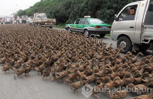 Korkunç görüntü: Dağ yola kaydı