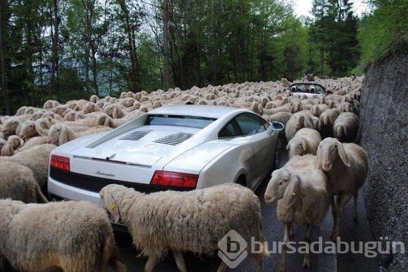 Korkunç görüntü: Dağ yola kaydı