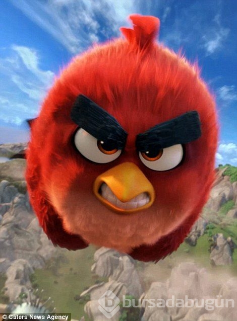 Herkes bunu konuşuyor: Angry Bird'ün gerçeğiyle tanışın