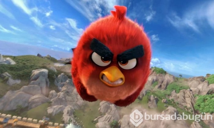 Herkes bunu konuşuyor: Angry Bird'ün gerçeğiyle tanışın