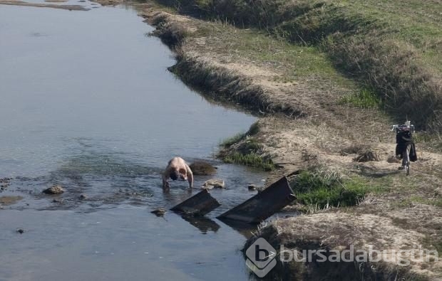 Kuzey Kore liderinin görülmesini istemediği fotoğraflar