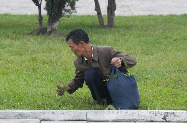 Kuzey Kore liderinin görülmesini istemediği fotoğraflar