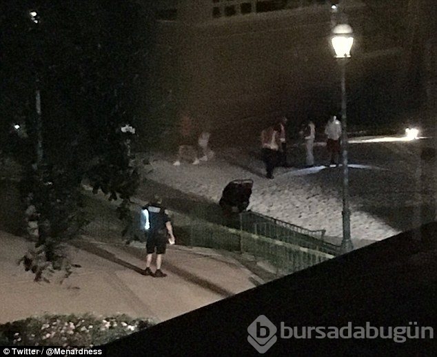 Disneyland'da dehşet! Timsah 2 yaşındaki çocuğu kaptı ve ...