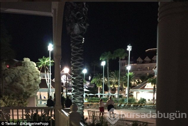 Disneyland'da dehşet! Timsah 2 yaşındaki çocuğu kaptı ve ...
