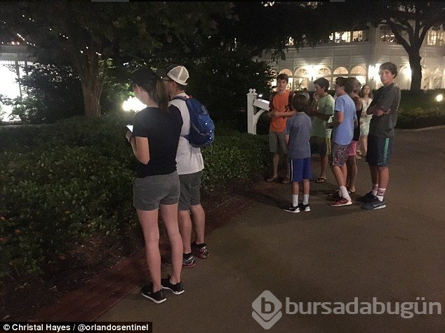 Disneyland'da dehşet! Timsah 2 yaşındaki çocuğu kaptı ve ...