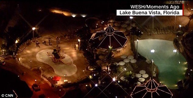 Disneyland'da dehşet! Timsah 2 yaşındaki çocuğu kaptı ve ...