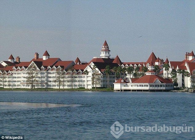 Disneyland'da dehşet! Timsah 2 yaşındaki çocuğu kaptı ve ...