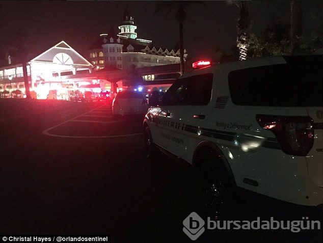 Disneyland'da dehşet! Timsah 2 yaşındaki çocuğu kaptı ve ...