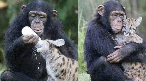 Milyonlar şu an bu görüntüleri izliyor
Kafasında patladı