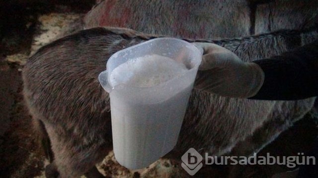 Dünyanın en değerli maddeleri
