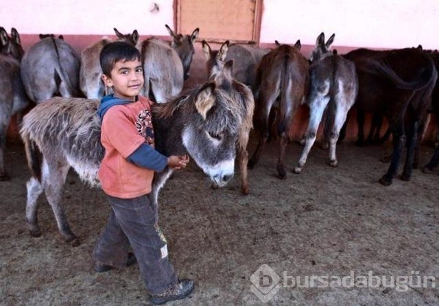 Dünyanın en değerli maddeleri
