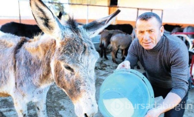 Dünyanın en değerli maddeleri
