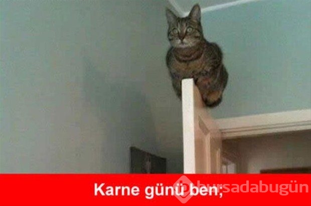 Karne günü capsleri
