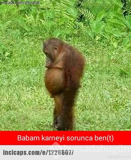 Karne günü capsleri

