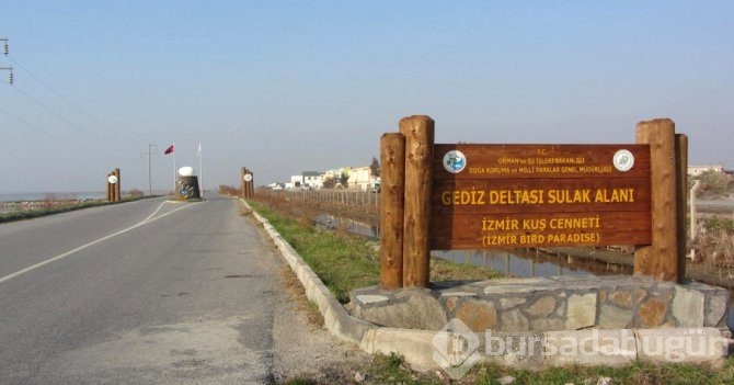 Birlikten önce kuvvet, sonra 17 bin flamingo doğdu