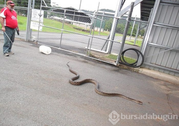 Yatak odasında ölümle burun buruna geldi 
Tam 5 metre