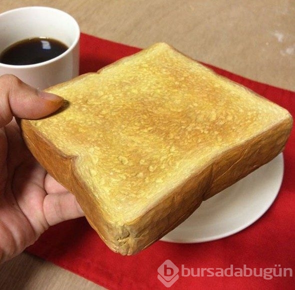 Gerçekte ne olduğunu öğrenince çok şaşıracaksınız