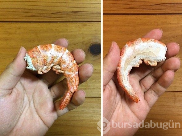 Gerçekte ne olduğunu öğrenince çok şaşıracaksınız