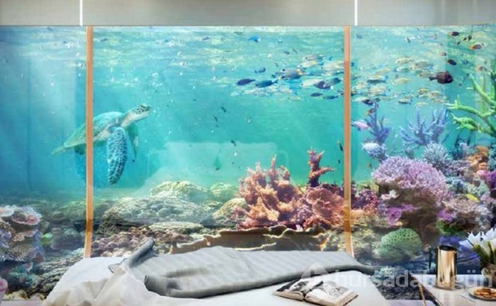 Dünyanın ilk yüzen evi suya indirildi